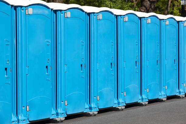 Best Eco-Friendly Portable Toilets in Prescott, WI